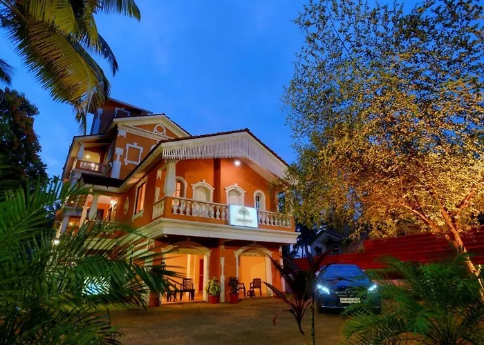 Treehouse Nova
