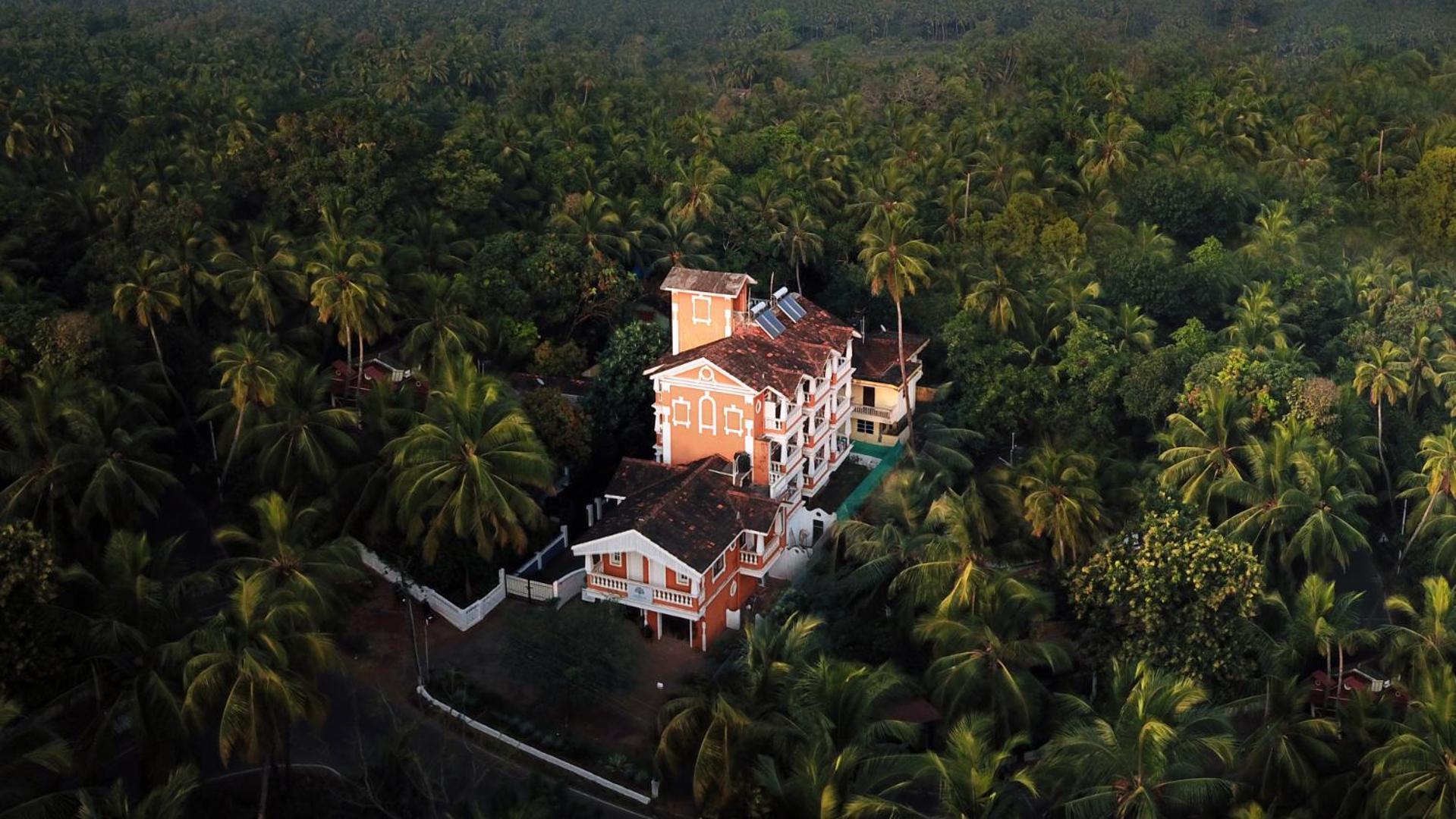 Hotel Treehouse Nova